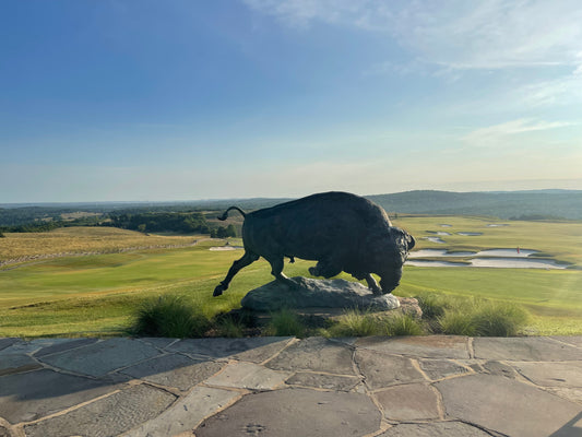 Buffalo Ridge Golf Club - Hollister, MO